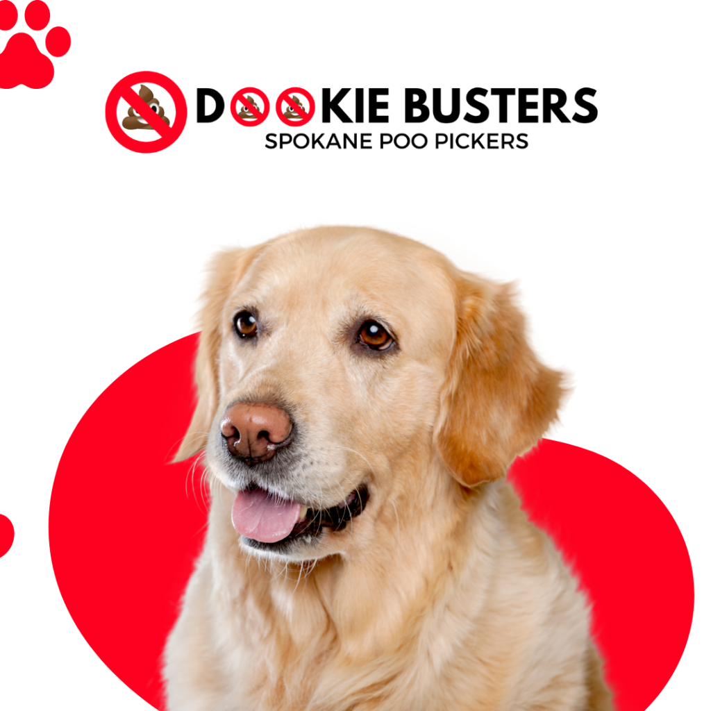 Dookie busters website banner